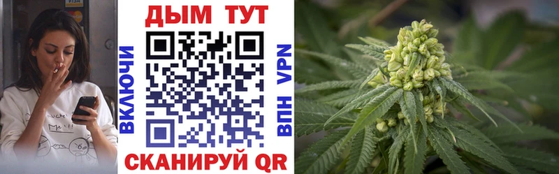 Канабис VHQ  Кочубеевское 